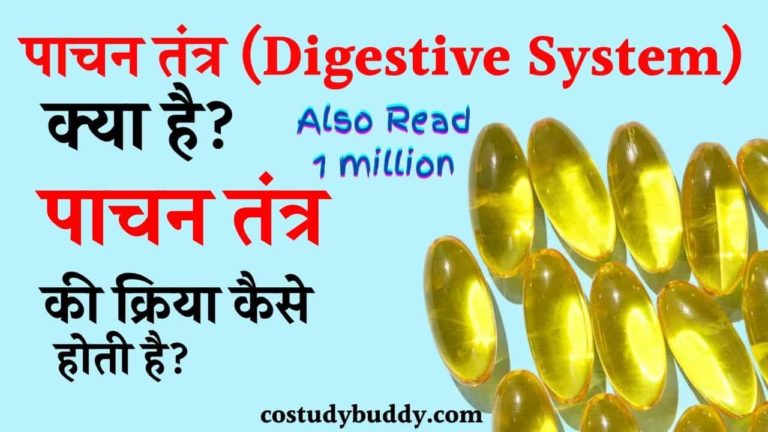 पाचन तंत्र (Digestive System )क्या है? पाचन की क्रिया कैसे होती है?